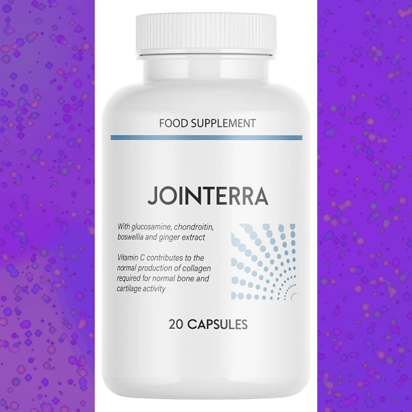 Jointerra